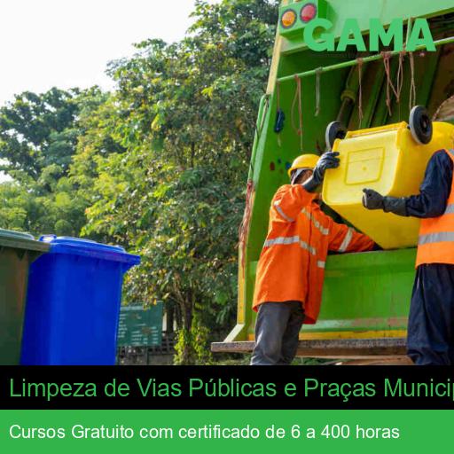 Limpeza de Vias Públicas e Praças Municipais